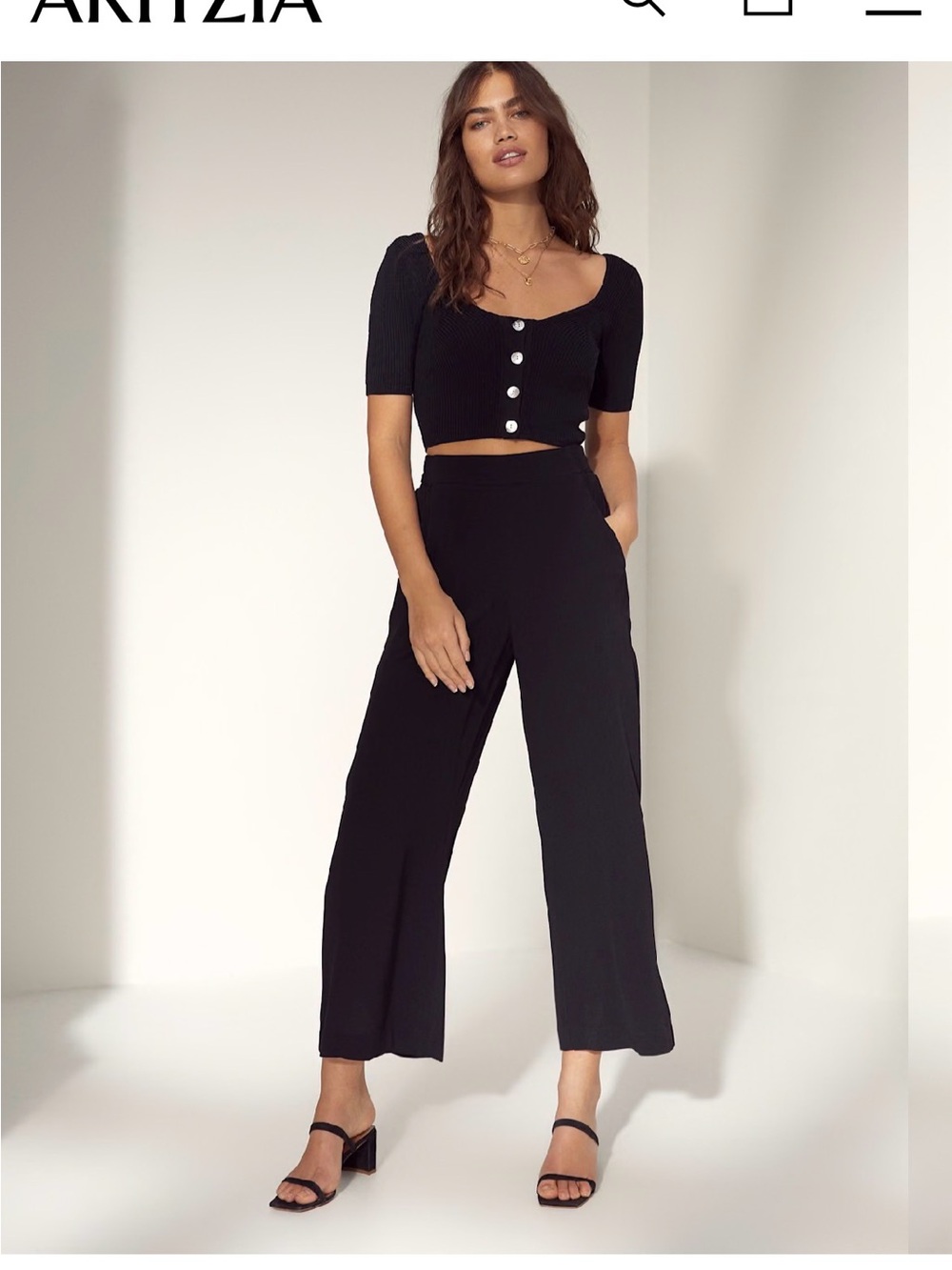 Aritzia Wilfred Black Wide-Leg Ankle Pants